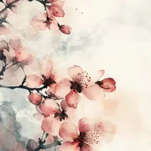 櫻色流韻